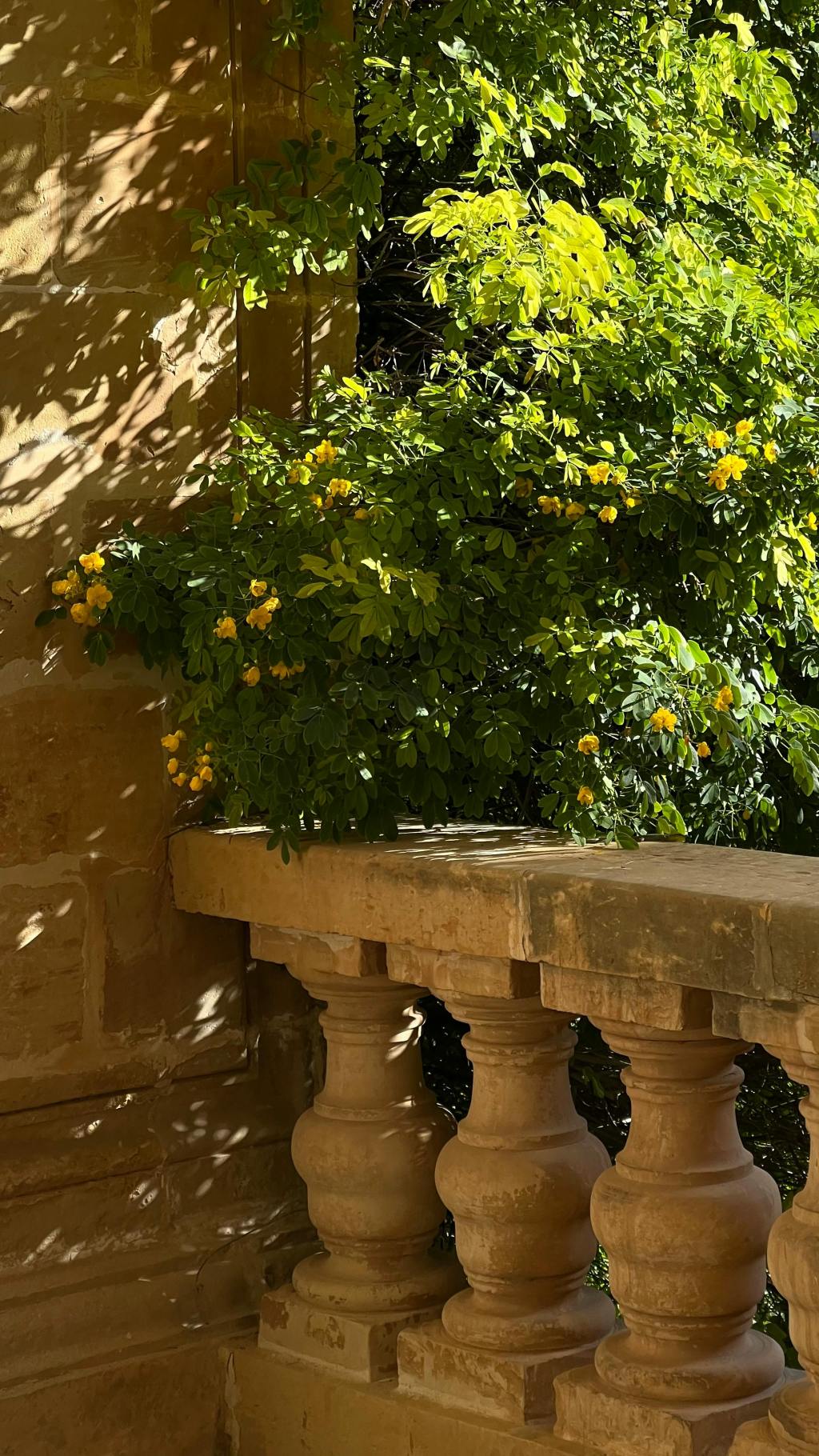 Die universelle Sprache der&nbsp;Trauer