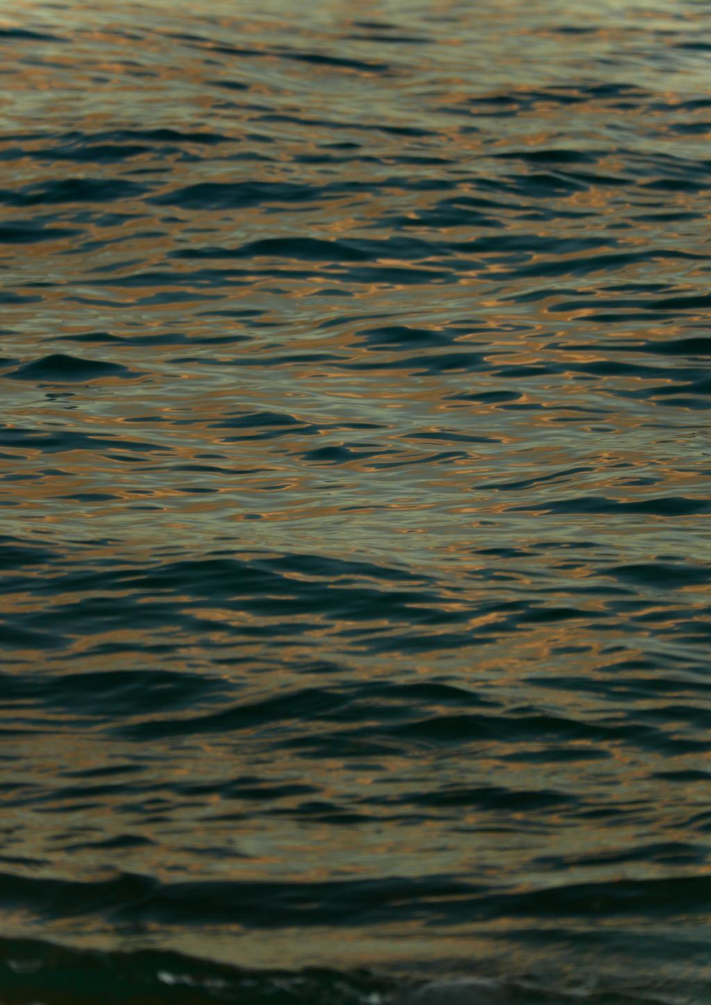 Rund um die Trauerbegleitung